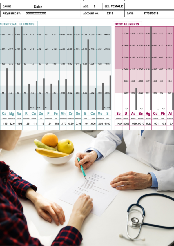 Hair Tissue Mineral Analysis with Interpretive Consultation